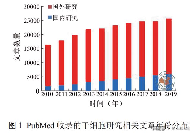 盘点我国近年来干细胞政策：鼓励与支持干细胞研究