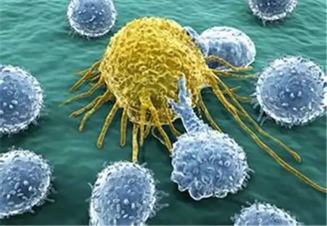 NK细胞免疫疗法，或将成为晚期癌症治疗最佳选择