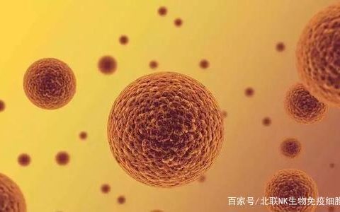 NK免疫细胞——抗癌的主力军