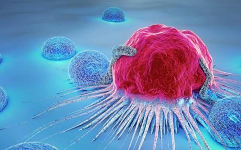 NK免疫细胞有什么作用？