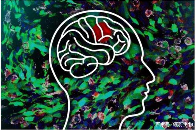 针对恶性肿瘤（癌症），生物细胞免疫治疗比传统的治疗有哪些优势