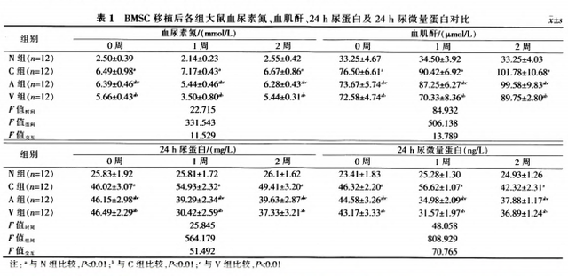 干细胞治疗26例慢性肾病患者临床疗效观察