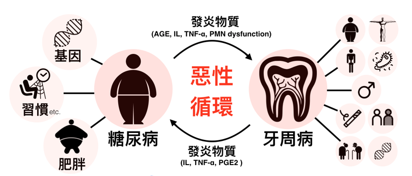 中国干细胞新药防治“老掉牙”临床显奇效，牙齿再生不再是梦