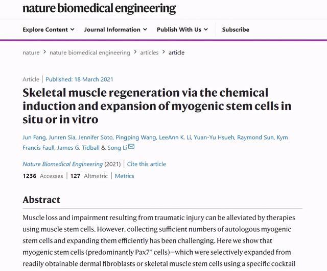 攻克单能干细胞疗法难题！科学家实现肌肉干细胞体内外高效扩增