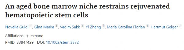 Stem Cells:衰老生态位可使造血干细胞的“返老还童”？