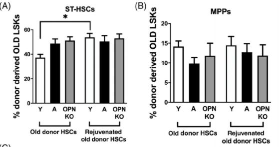 Stem Cells:衰老生态位可使造血干细胞的“返老还童”？