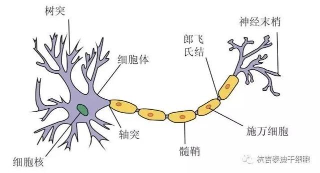 自动草稿