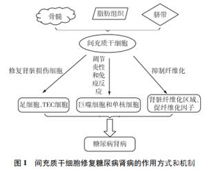 自动草稿