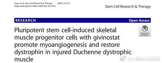 最新研究| 衰老导致肌肉流失！干细胞可以修复