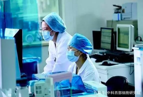 干细胞的临床应用的必要性
