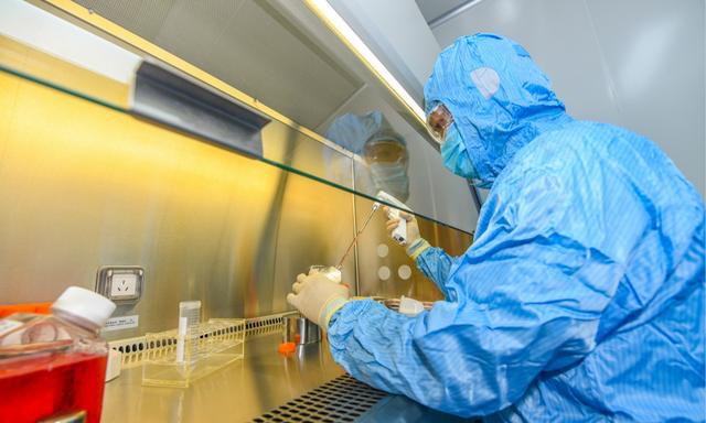 苏生生物获千万级天使轮融资,深耕运动医学和干细胞生物疗法 苏生生物获千万级天使轮融资,深耕运动医学和干细胞生物疗法