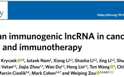 邹伟平团队Nature子刊揭示癌症中首个免疫原性lncRNA