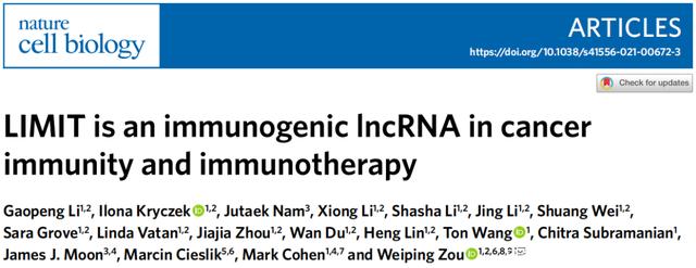 邹伟平团队Nature子刊揭示癌症中首个免疫原性lncRNA