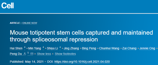 Cell |重大突破！北京大学杜鹏团队实现全能干细胞体外的稳定培养