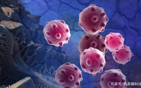 科学家发现癌细胞带有干细胞特性，治愈癌症或许指日可待！