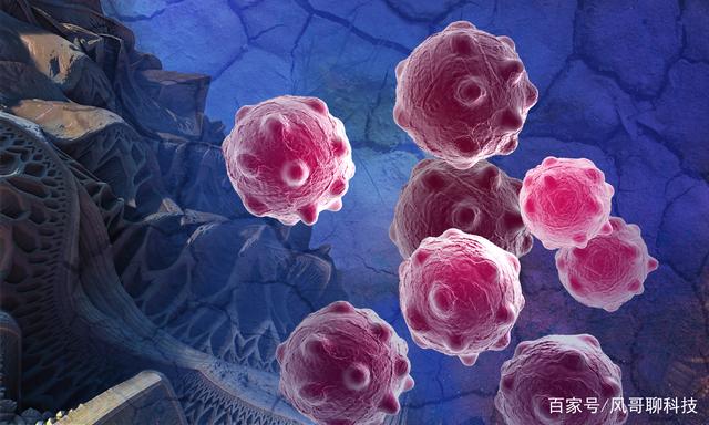 科学家发现癌细胞带有干细胞特性，治愈癌症或许指日可待！