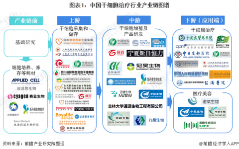 预见2021：《2021年干细胞医疗产业全景图谱》(附市场现状、竞争格局、发展前景等)