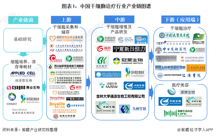 预见2021：《2021年干细胞医疗产业全景图谱》(附市场现状、竞争格局、发展前景等)