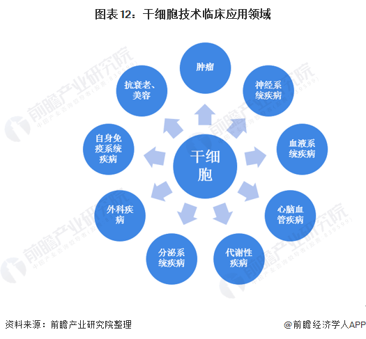 预见2021：《2021年干细胞医疗产业全景图谱》(附市场现状、竞争格局、发展前景等)