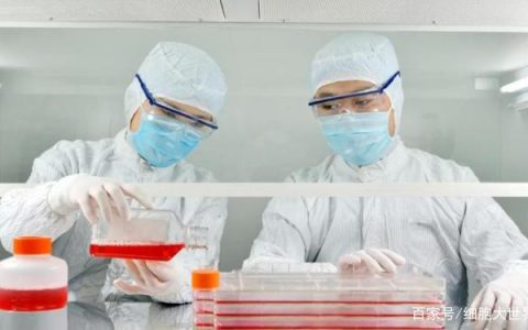 打干细胞一定要去国外？中国技术遥遥领先！