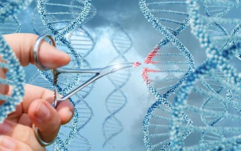 生物学家呼吁监督未经证实的干细胞疗法