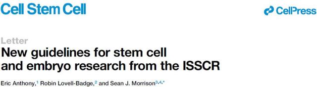 新指南出台，干细胞和胚胎研究的春天来了