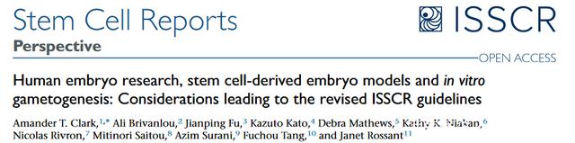 新指南出台，干细胞和胚胎研究的春天来了
