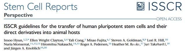 新指南出台，干细胞和胚胎研究的春天来了
