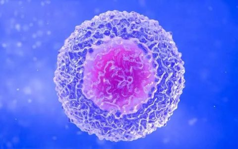 干细胞—给人类一个再生的机会！