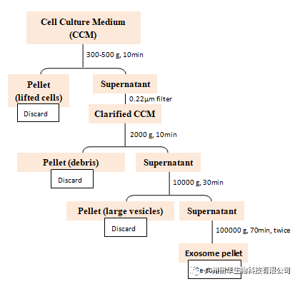 外泌体是如何获得的