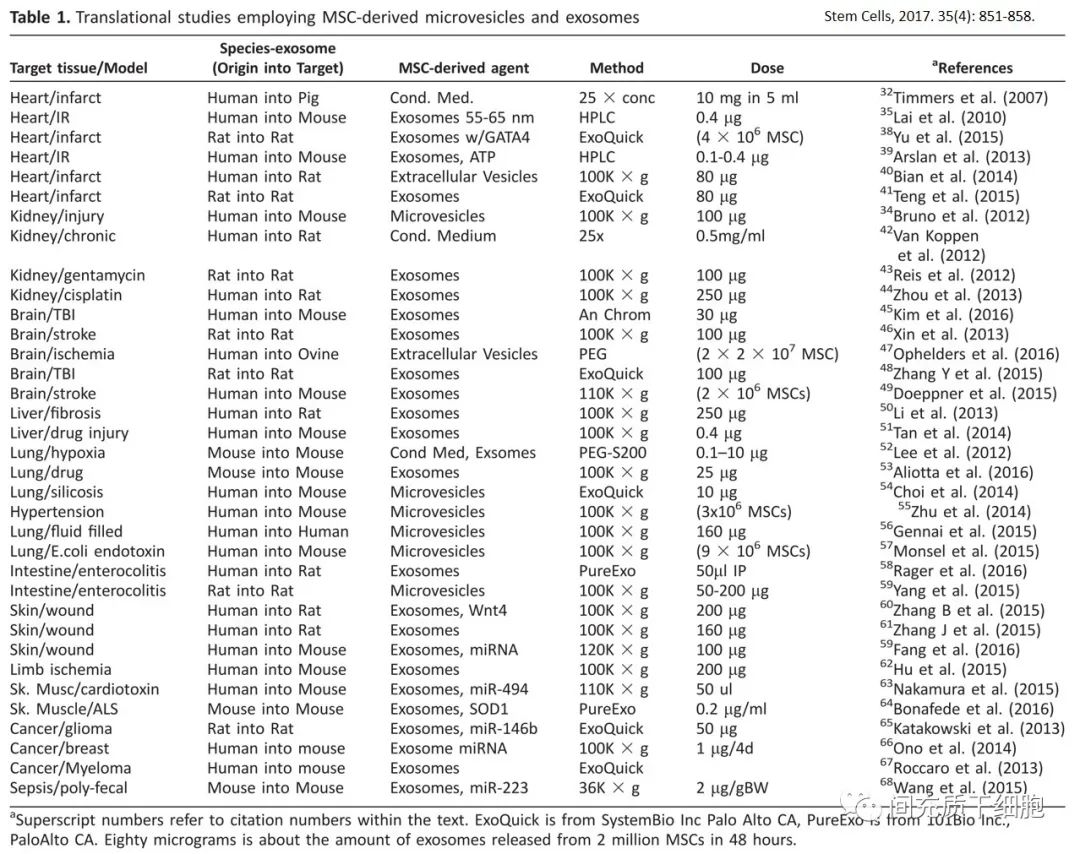 干细胞的下一个风口，或许是干细胞外泌体