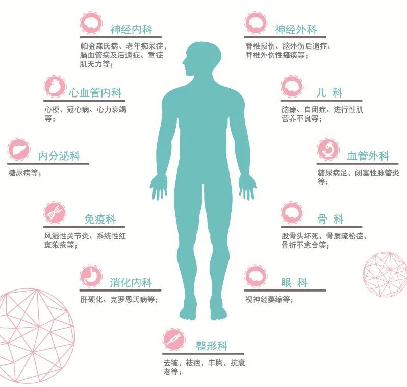 干细胞与药物治疗有什么不同？