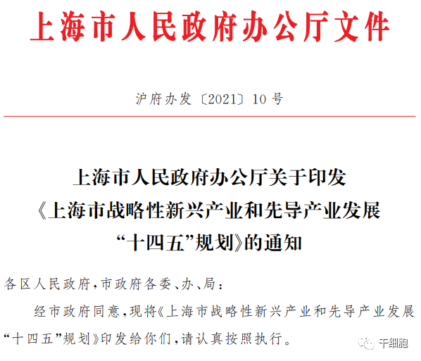 重磅！上海最新发布：推动干细胞等细胞技术临床应用！