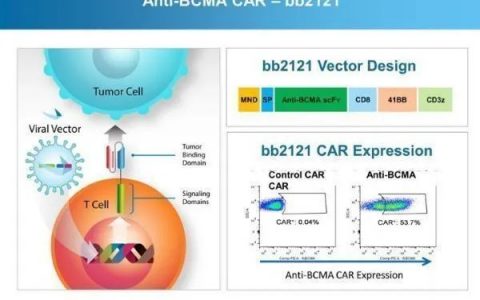 全球首个BCMA CAR-T疗法获欧盟CHMP推荐批准：治疗多发性骨髓瘤