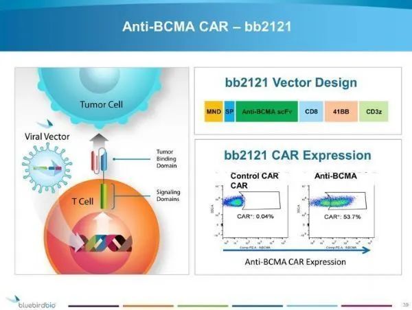 全球首个BCMA CAR-T疗法获欧盟CHMP推荐批准：治疗多发性骨髓瘤