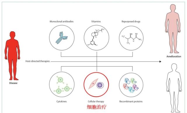 干细胞具有明显的抗菌效力，治疗感染性疾病的新武器