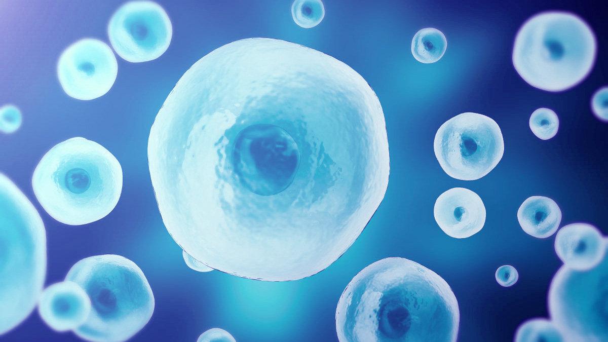 生物医药产业再添新平台 绍兴干细胞与再生医学创新中心成立