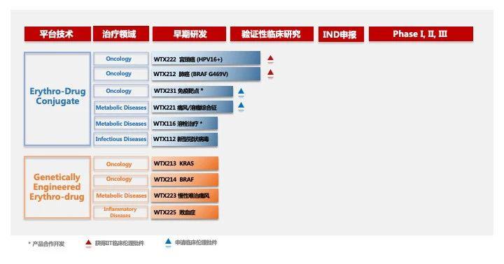 中国首个红细胞疗法公司连获大额融资，预计明年递交IND