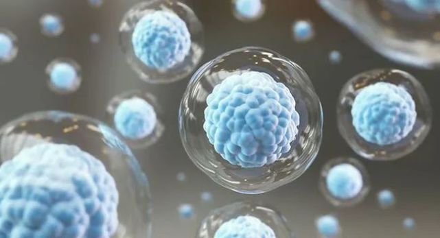 干细胞一周资讯：国内第一款CAR-T细胞治疗的医保现状