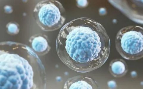 天津经开区：4款干细胞药物进入临床试验