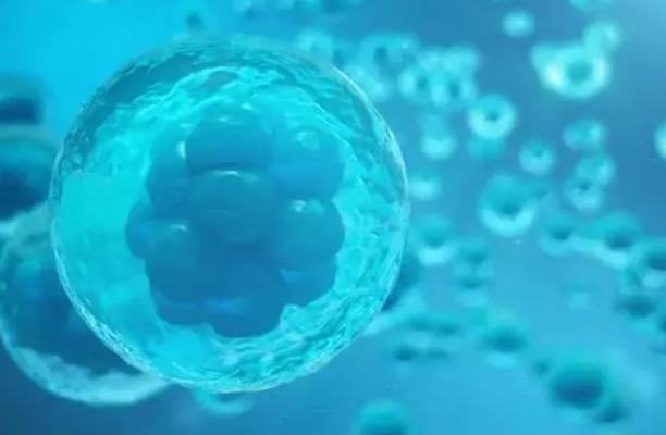 干细胞与免疫细胞有什么区别，到底该储存哪一种？