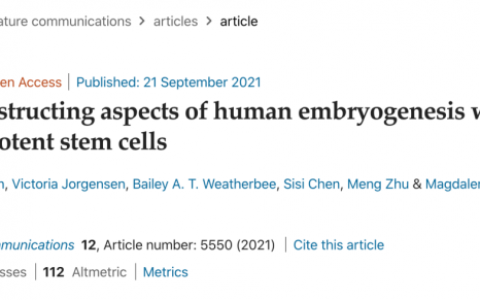利用干细胞制造出胚胎样结构！人类以后可以“无性繁衍”了？