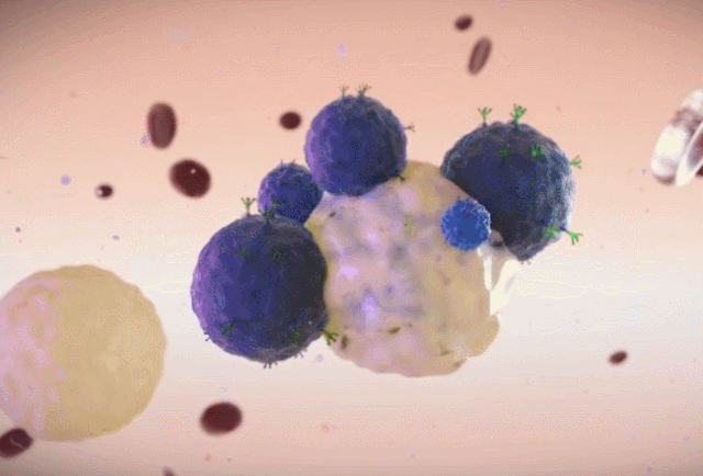 免疫细胞中的“前锋”，是如何对抗肿瘤、感染和炎症的？
