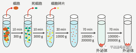 外泌体到底该如何保存？