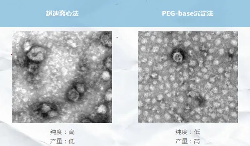 如何获取可靠的外泌体？