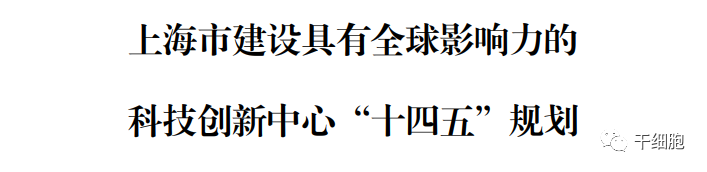 上海将​推进干细胞与再生医学前沿重大科学问题与关键技术取得突破，打造干细胞再生医学中心及相关新兴技术产业集群。