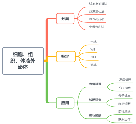 如何获取可靠的外泌体？