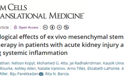 新型干细胞产品治疗急性肾损伤疗效显著，克服传统缺陷