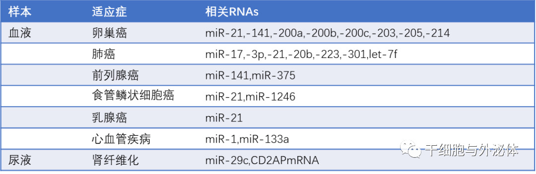 外泌体——小囊泡里蕴含的神奇功能，全球市场达数亿美元