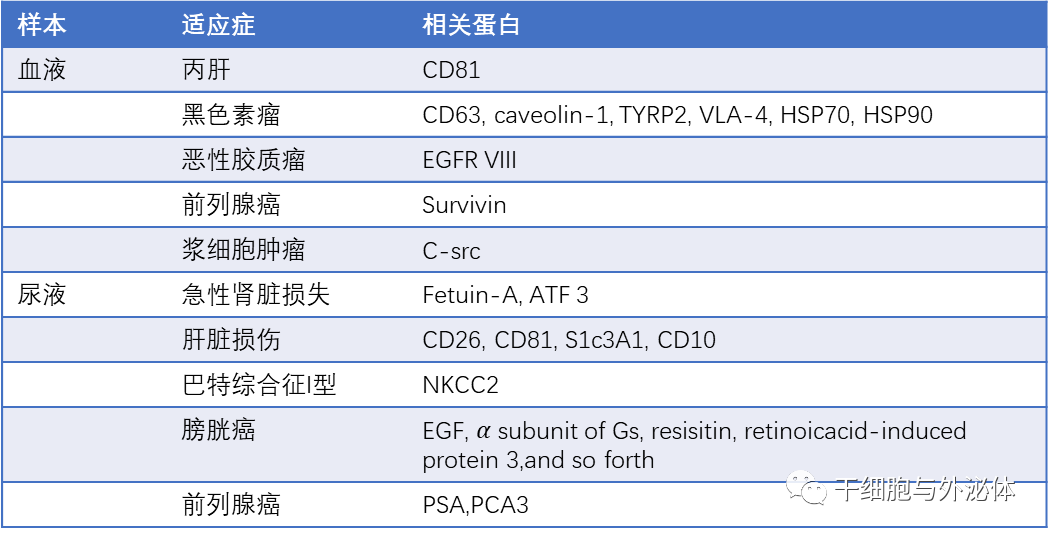 外泌体——小囊泡里蕴含的神奇功能，全球市场达数亿美元